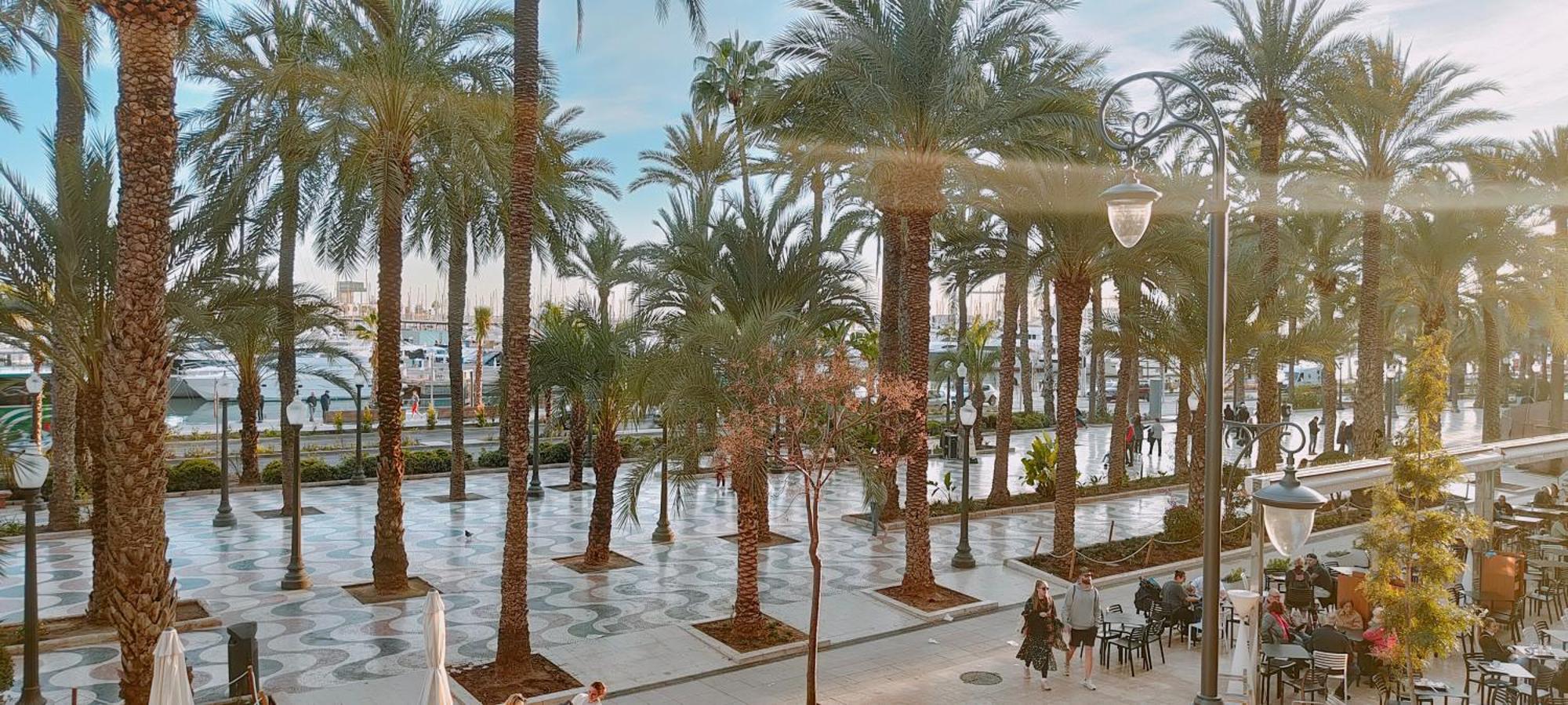 Alicantissima Marina & Beach Alicante Eksteriør bilde